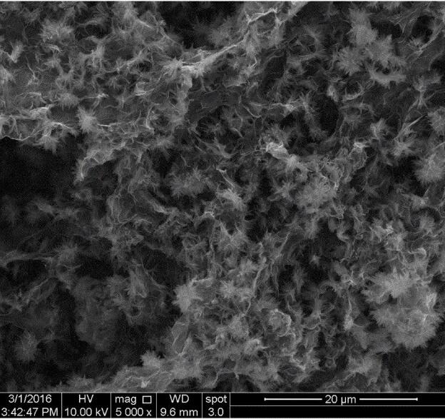 氧化石墨烯-氧化鋁復合氣凝膠SEM圖片